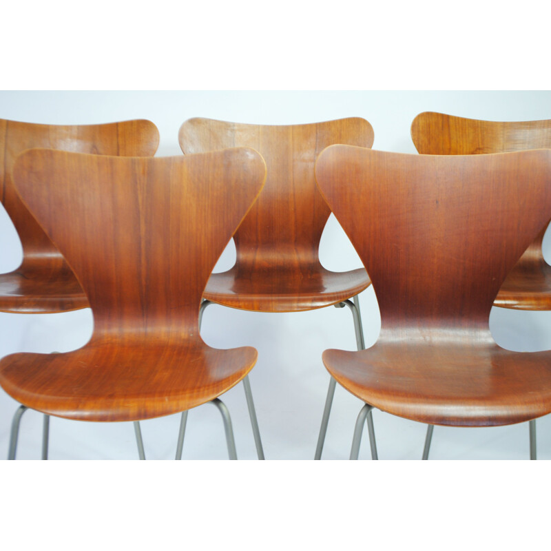 Ensemble de 5 chaises vintage série 7 en teck par Arne Jacobsen pour Fritz Hansen, 1950