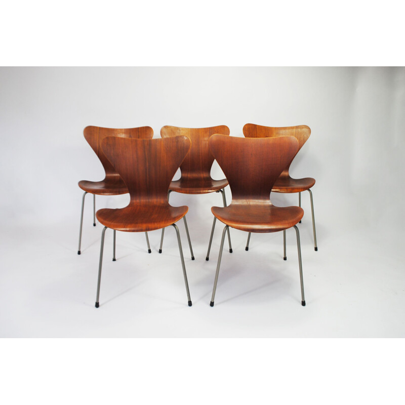 Set of 5 vintage 7-series teak chairs by Arne Jacobsen for Fritz Hansen, 1950s