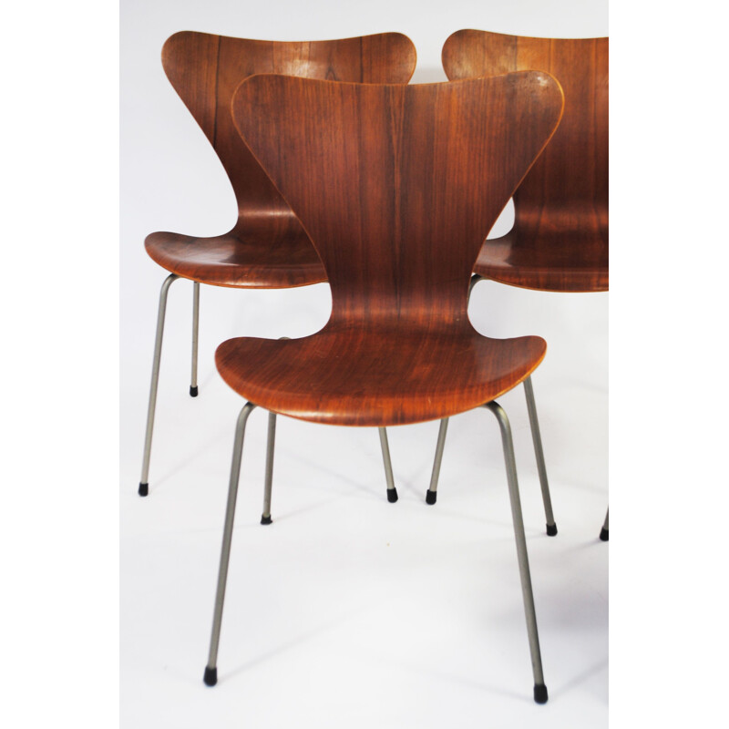 Juego de 5 sillas vintage de la Serie 7 de teca de Arne Jacobsen para Fritz Hansen, 1950