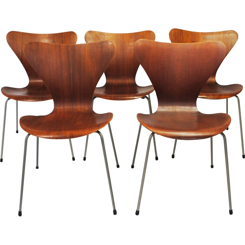 Juego de 5 sillas vintage de la Serie 7 de teca de Arne Jacobsen para Fritz Hansen, 1950