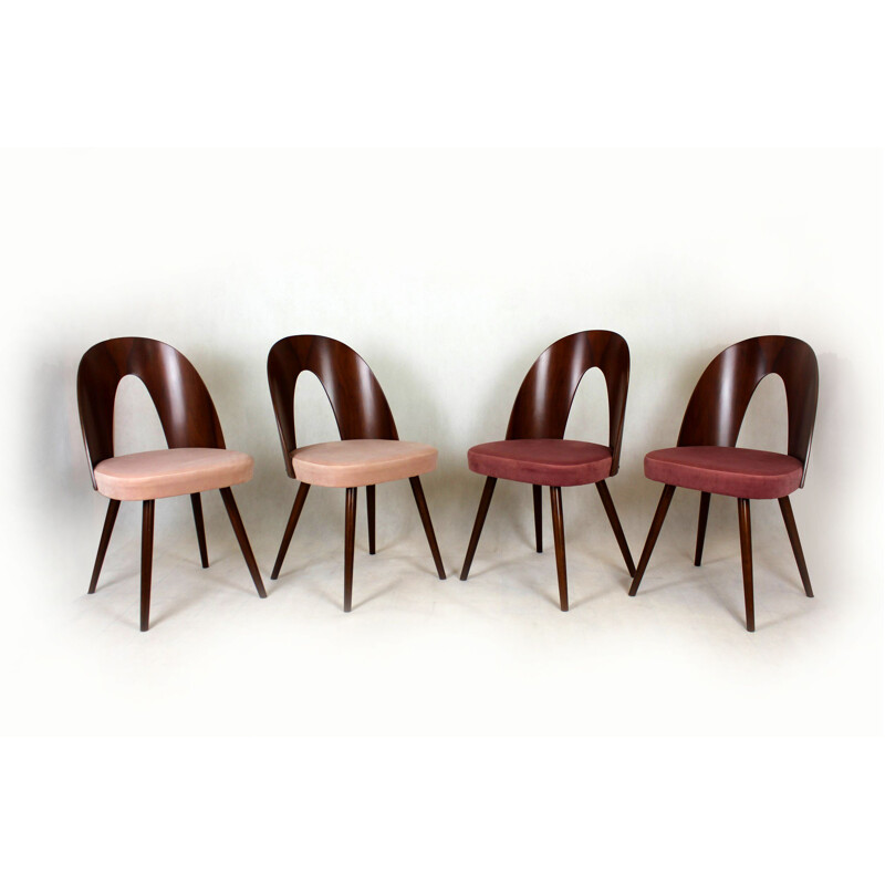 Ensemble de 4 chaises vintage en hêtre par Antonin Suman, 1960