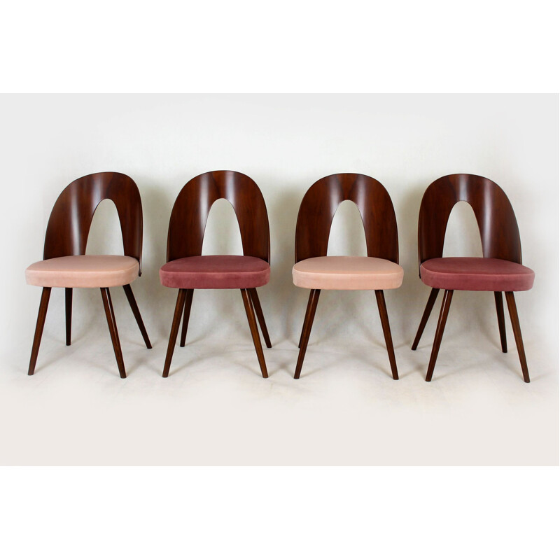 Set of 4 vintage beechwood chairs by Antonin Suman, 1960