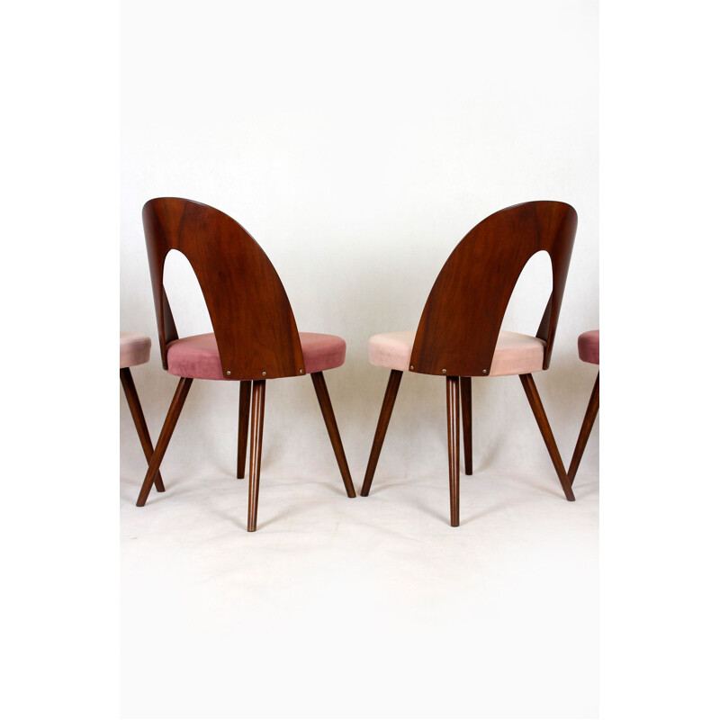 Juego de 4 sillas vintage de madera de haya de Antonin Suman, 1960