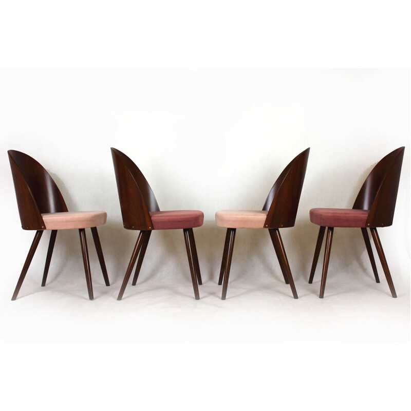 Conjunto de 4 cadeiras de madeira de faia vintage por Antonin Suman, 1960