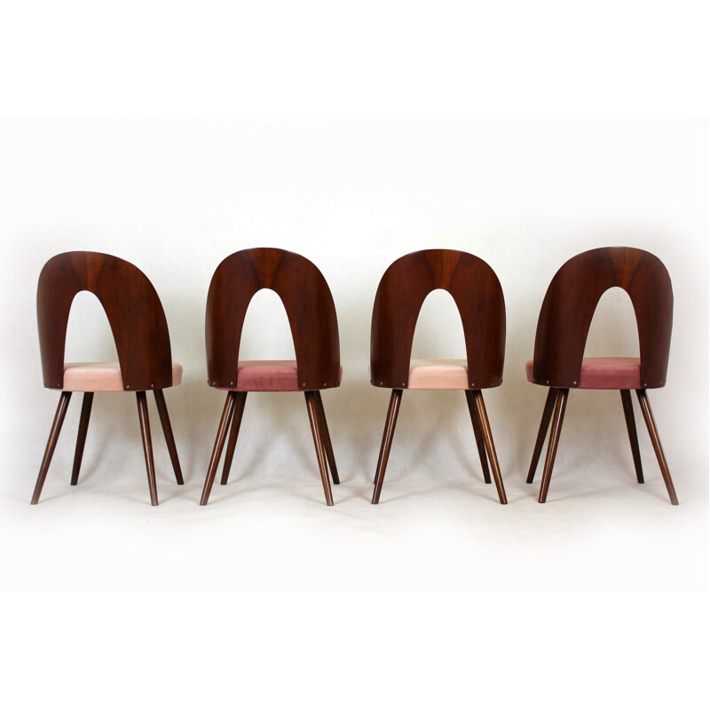 Set van 4 vintage beukenhouten stoelen van Antonin Suman, 1960