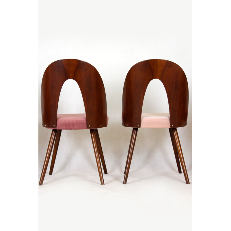 Set of 4 vintage beechwood chairs by Antonin Suman, 1960