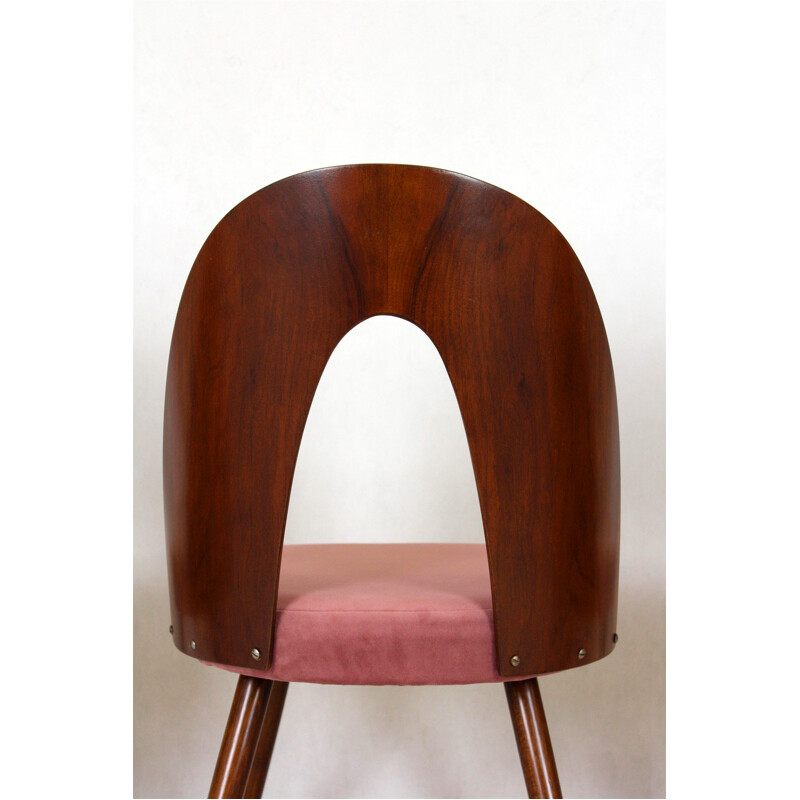 Juego de 4 sillas vintage de madera de haya de Antonin Suman, 1960