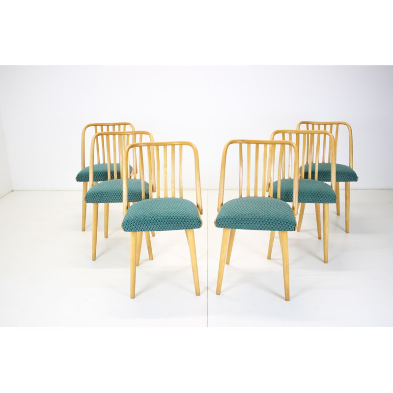 Set of 6 vintage dining chairs by Antonin Suman, Czechoslovakia 1960s