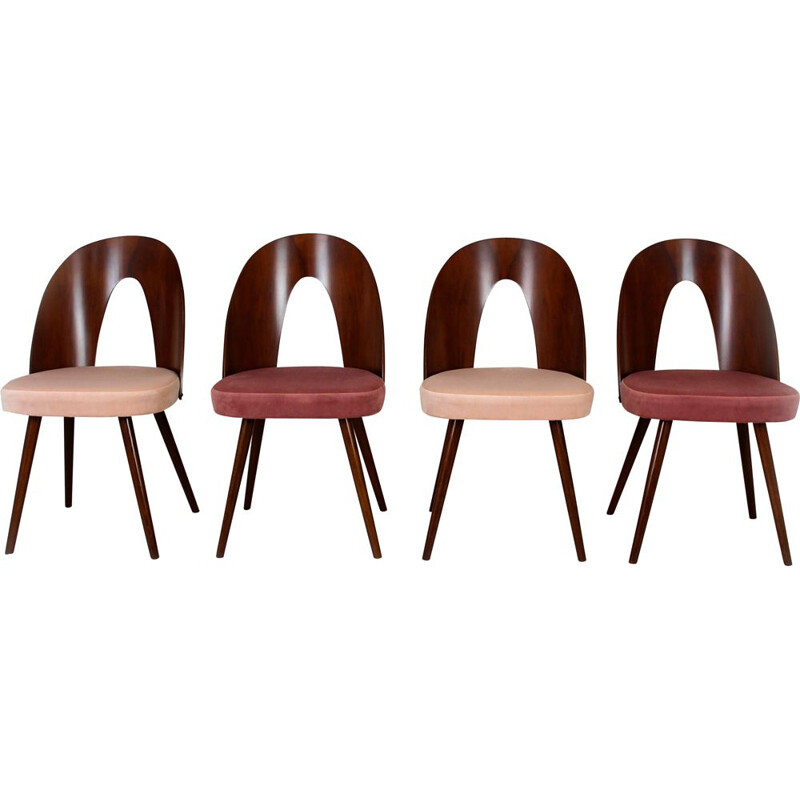 Set of 4 vintage beechwood chairs by Antonin Suman, 1960