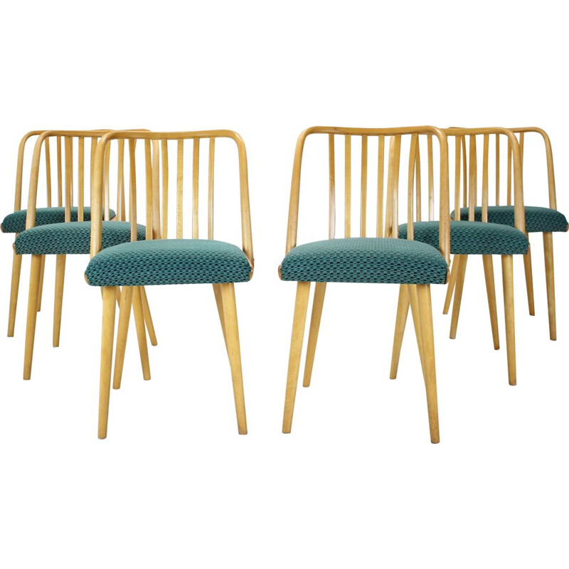Conjunto de 6 cadeiras vintage de Antonin Suman, Checoslováquia 1960