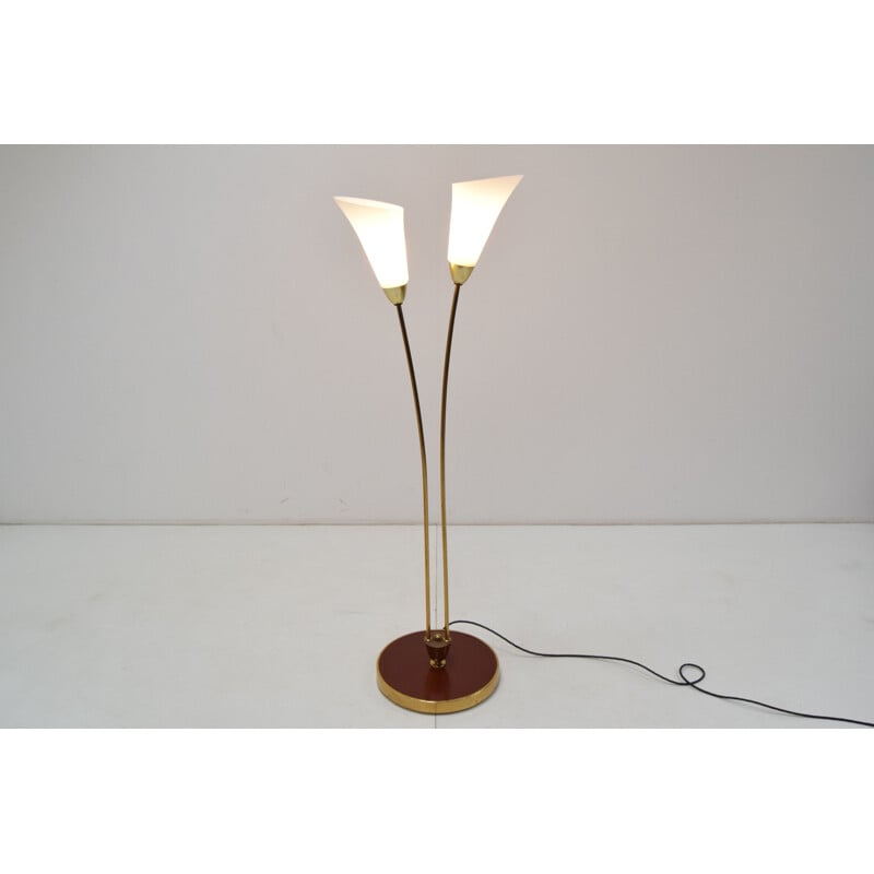 Vintage art deco brass and opal glass floor lamp, Czechoslovakia 1940