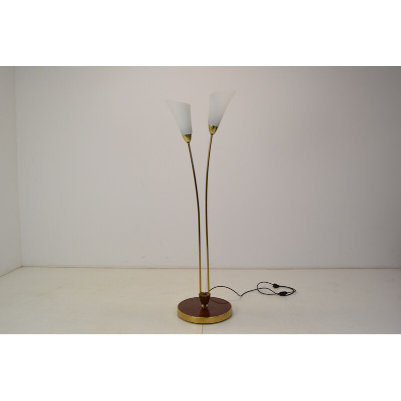 Vintage art deco brass and opal glass floor lamp, Czechoslovakia 1940