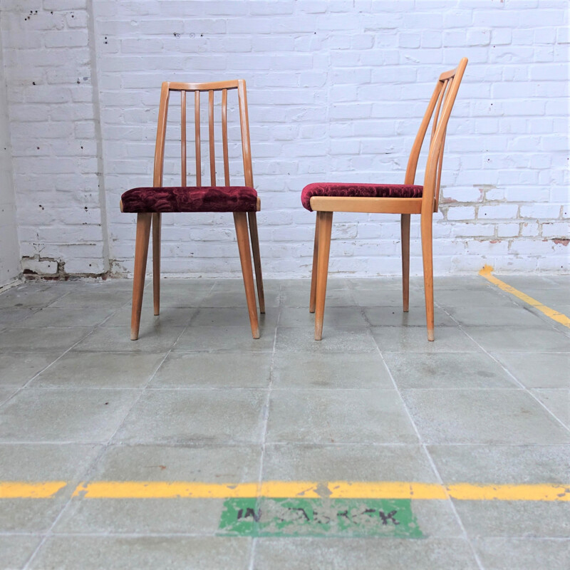 Set van 4 vintage stoelen van Antonin Suman voor Ton, Tsjechoslowakije 1960