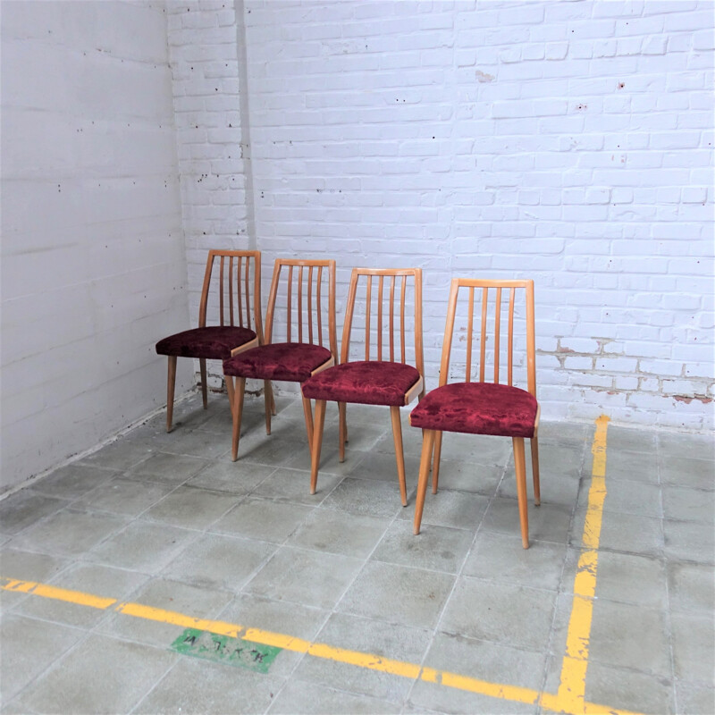 Ensemble de 4 chaises vintage par Antonin Suman pour Ton, Tchécoslovaquie 1960