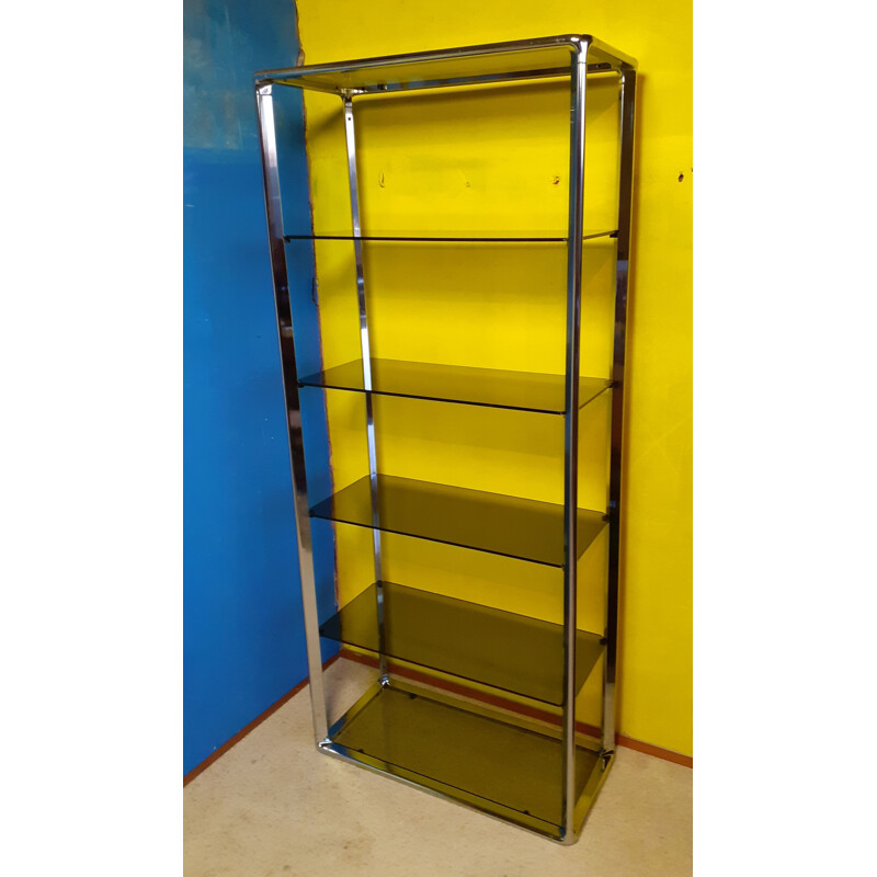 Vintage Italian bookcase in smoked glass by Fratelli Orsenigo, 1970