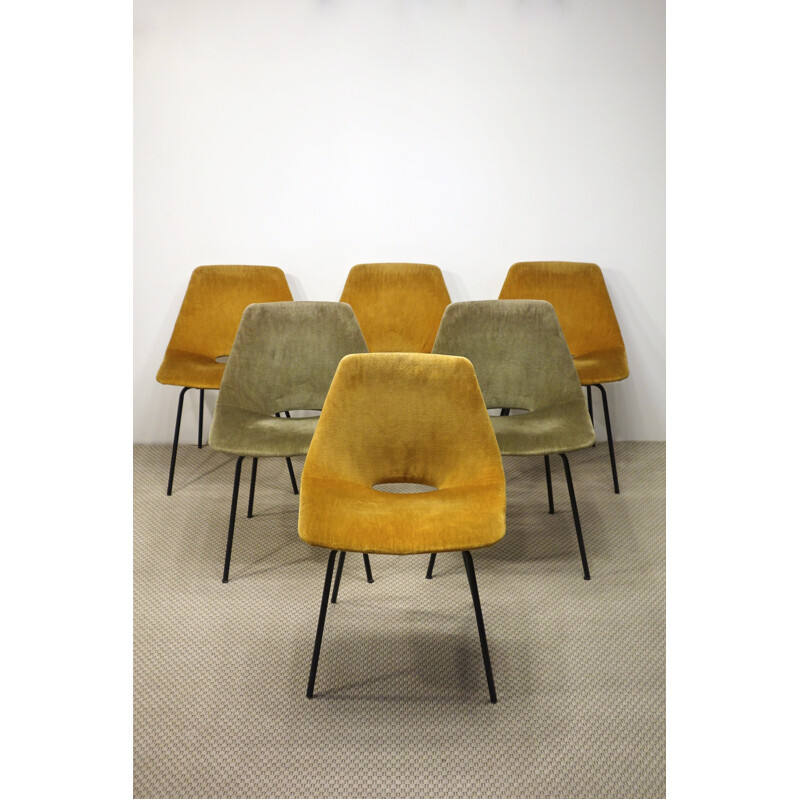 Lot de 6 chaises vintage Amsterdam de Pierre Guariche pour Steiner, 1954
