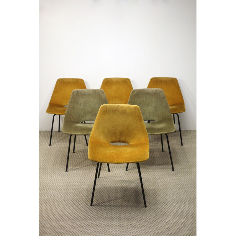 Set of 6 vintage Amsterdam chairs by Pierre Guariche for Steiner, 1954