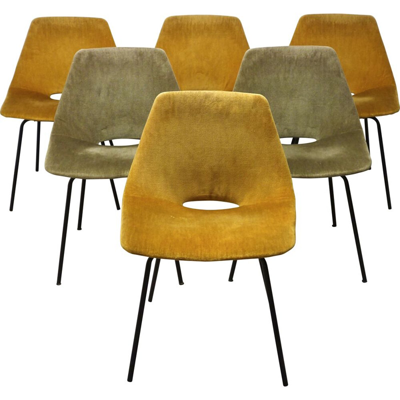 Lot de 6 chaises vintage Amsterdam de Pierre Guariche pour Steiner, 1954