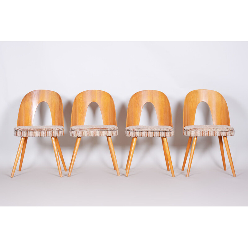 Conjunto de 4 cadeiras de madeira de freixo vintage por Antonín Stármuman, 1950