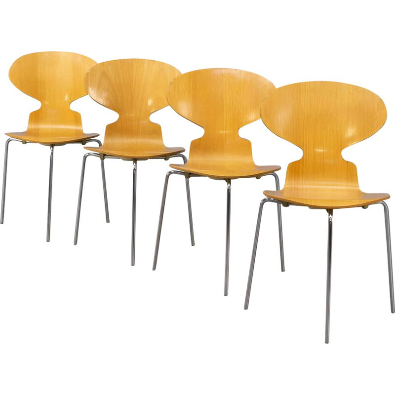 Set of 4 vintage plywood "model 3100 Ant" chairs by Arne Jacobsen for Fritz Hansen, 1951