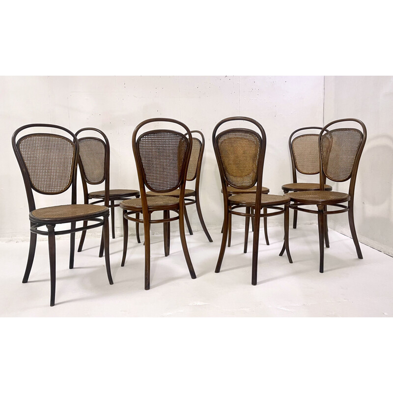 Conjunto de 8 cadeiras de madeira dobrada vintage por Thonet, Áustria 1930