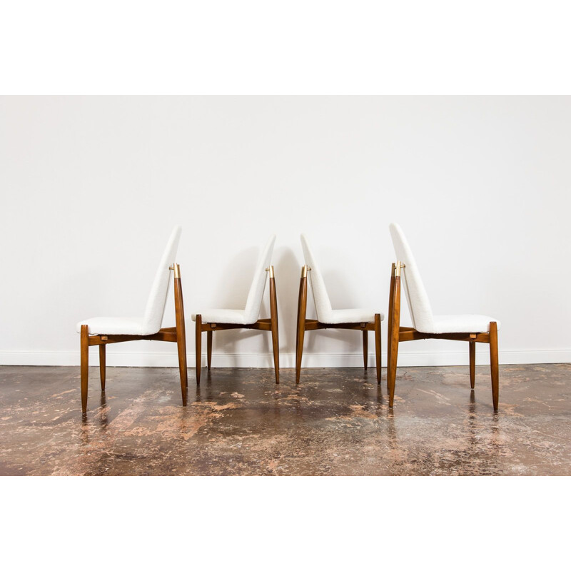 Ensemble de 4 chaises vintage par Miroslav Navratil, Tchécoslovaquie 1950