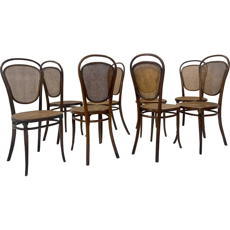 Conjunto de 8 cadeiras de madeira dobrada vintage por Thonet, Áustria 1930