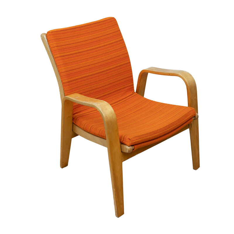 Vintage model Fb05 armchair by Cees Braakman for Pastoe