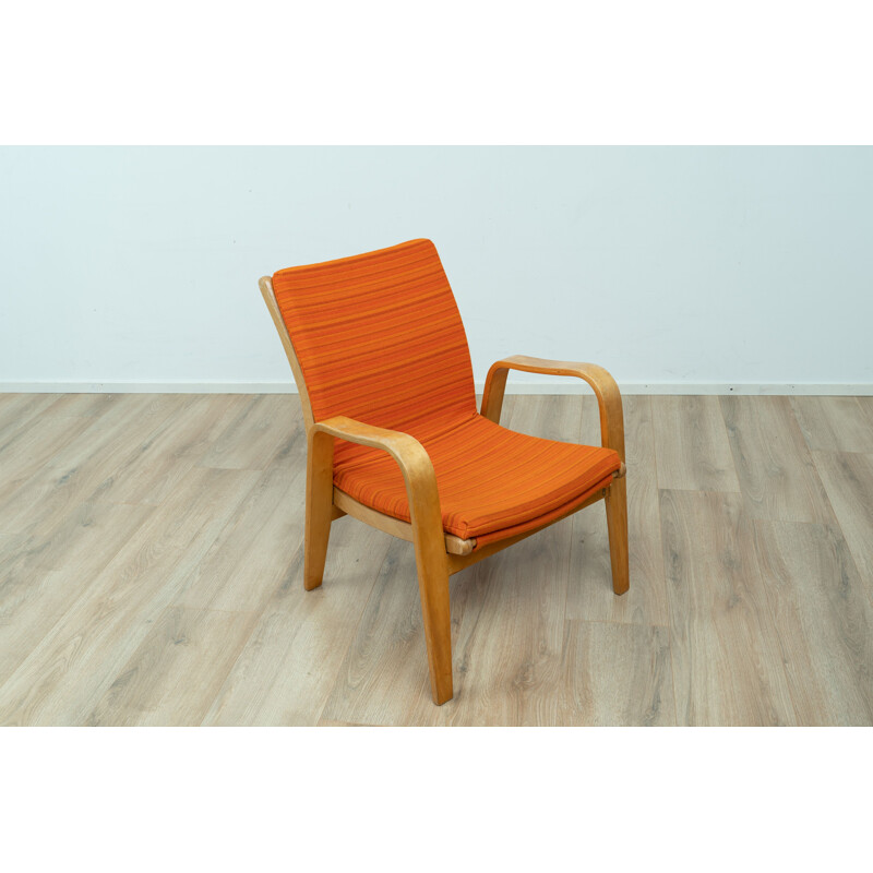 Vintage model Fb05 armchair by Cees Braakman for Pastoe