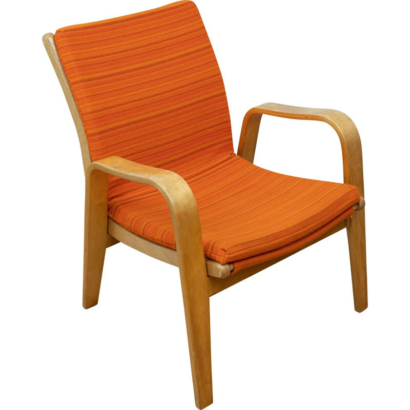 Vintage model Fb05 armchair by Cees Braakman for Pastoe