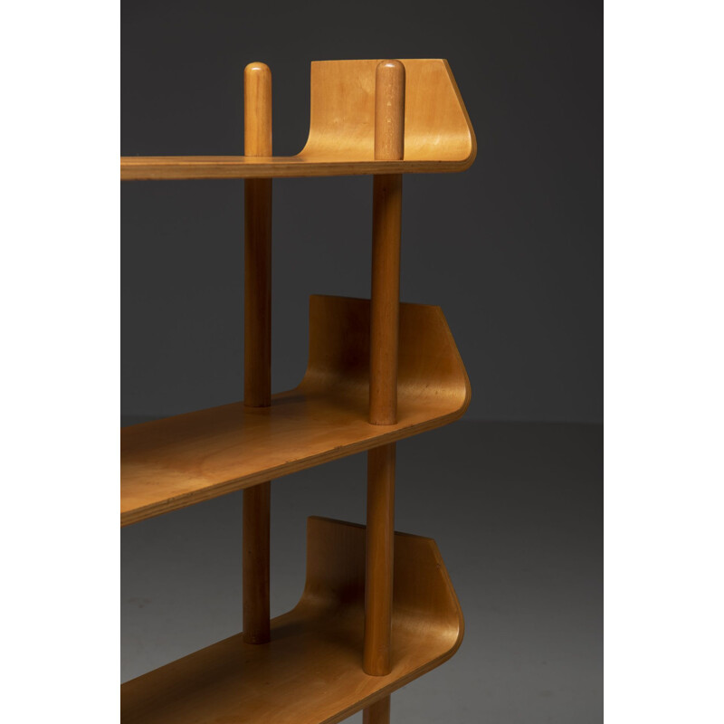 Vintage plywood bookcase by Wilhelm Lutjens, 1950