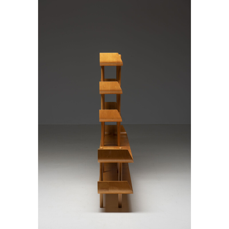 Vintage plywood bookcase by Wilhelm Lutjens, 1950