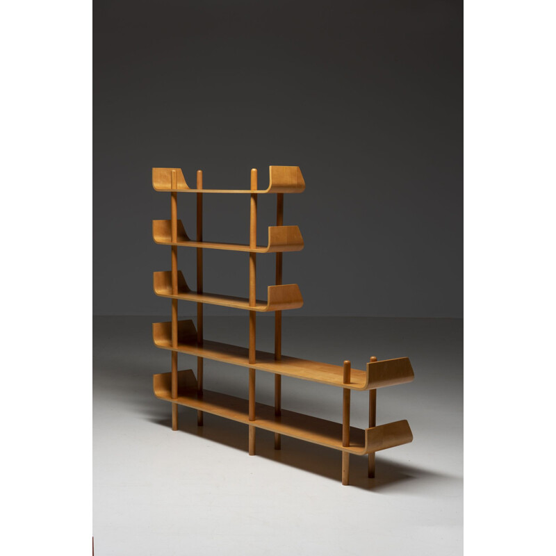 Vintage plywood bookcase by Wilhelm Lutjens, 1950