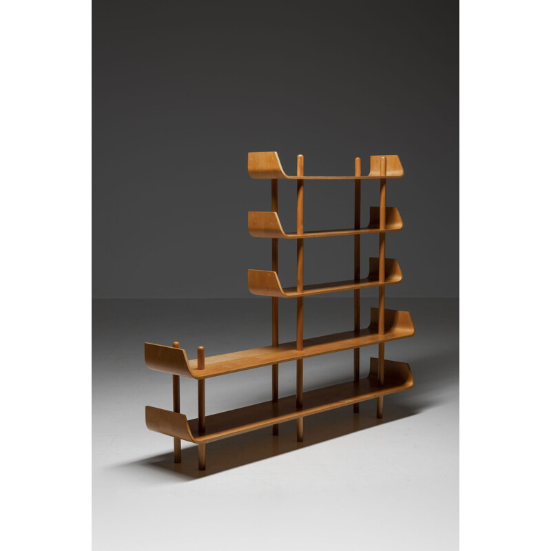 Vintage plywood bookcase by Wilhelm Lutjens, 1950