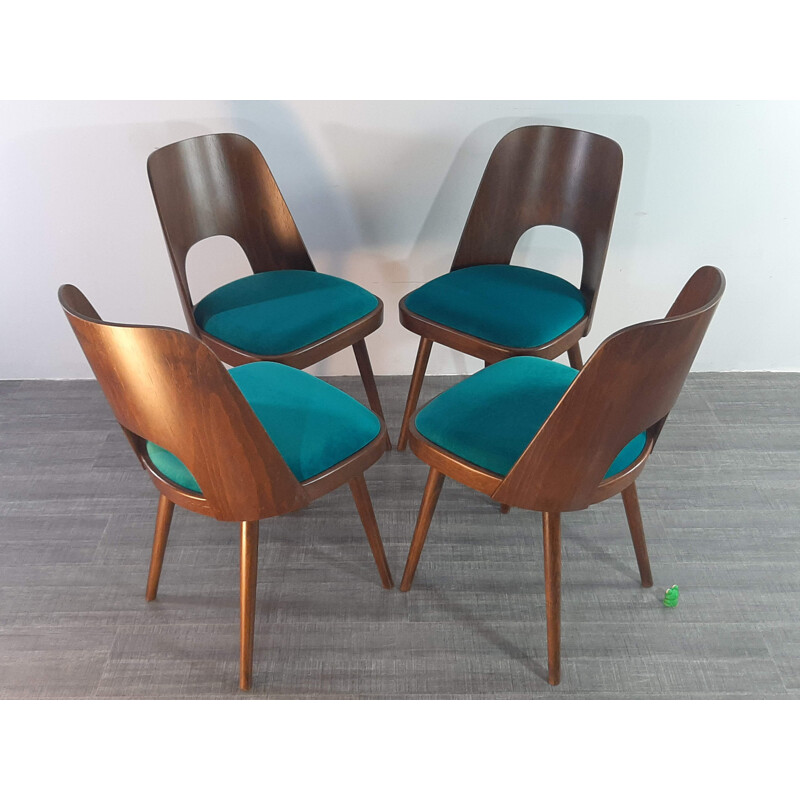 Lot de 4 chaises vintage tchèque Ton 515 en noyer et tissu bleu par Oswald Haerdtl, 1955