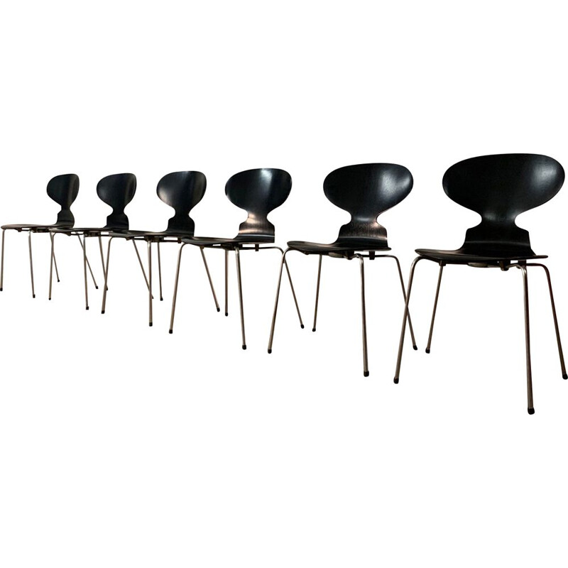 Set di 6 sedie vintage 3100 Ant di Arne Jacobsen per Fritz Hansen, 1960