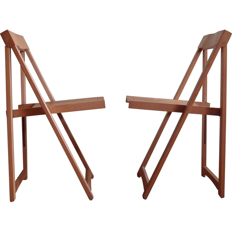 Pair of folding chairs by Aldo Jacober for Bazzani, 1960s