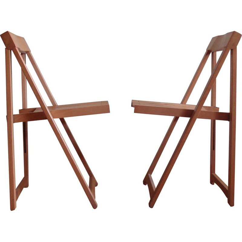 Paire de chaises pliantes d'Aldo Jacober pour Bazzani, 1960