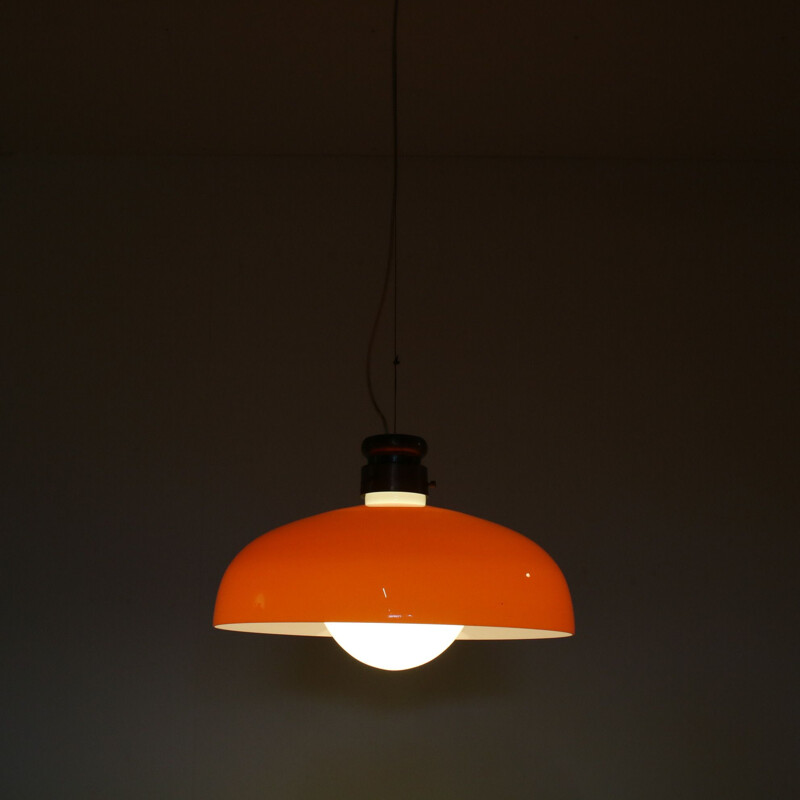 Vintage pendant lamp by Alessandro Pianon for Vistosi, Italy 1960s