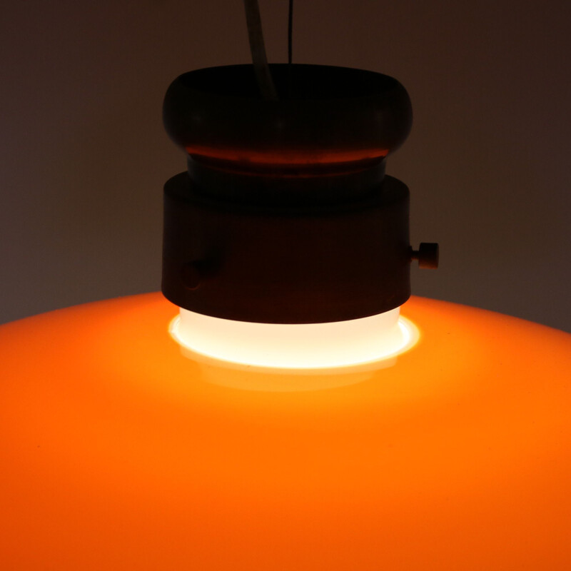 Vintage pendant lamp by Alessandro Pianon for Vistosi, Italy 1960s