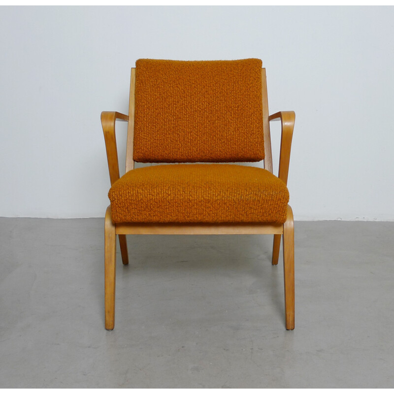 DW Hellerau easy chair, Selman SELMANAGIC - 1957