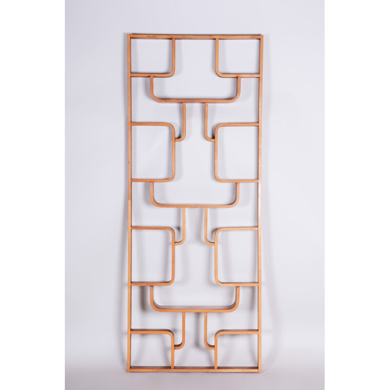 Mid century mahogany room divider by Ludvik Volak for Drevopodnik Holesov, 1960s