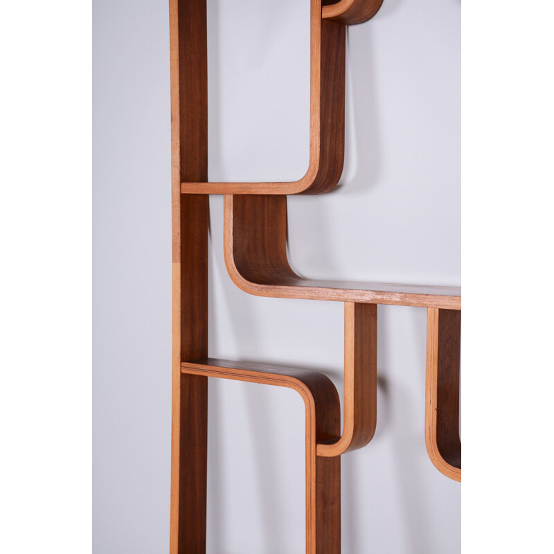 Mid century mahogany room divider by Ludvik Volak for Drevopodnik Holesov, 1960s