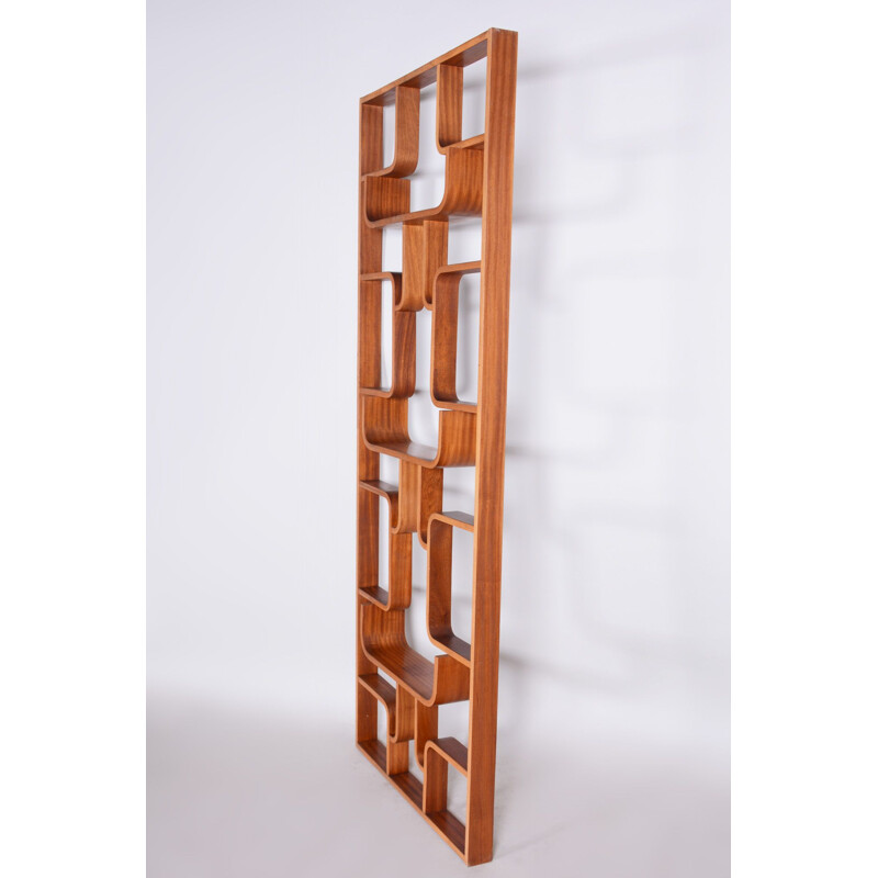 Mid century mahogany room divider by Ludvik Volak for Drevopodnik Holesov, 1960s