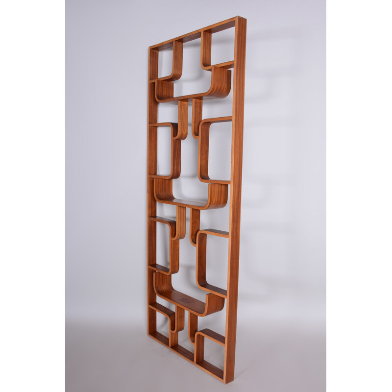 Mid century mahogany room divider by Ludvik Volak for Drevopodnik Holesov, 1960s