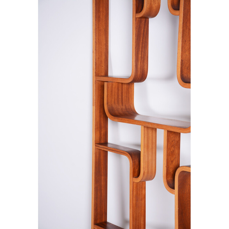 Mid century mahogany room divider by Ludvik Volak for Drevopodnik Holesov, 1960s