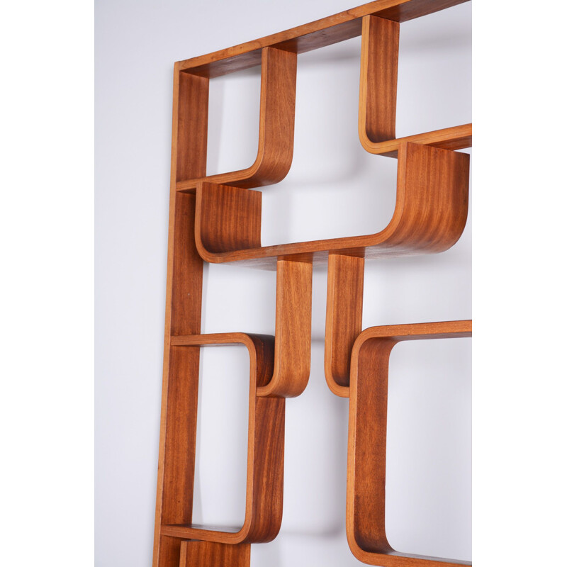 Mid century mahogany room divider by Ludvik Volak for Drevopodnik Holesov, 1960s