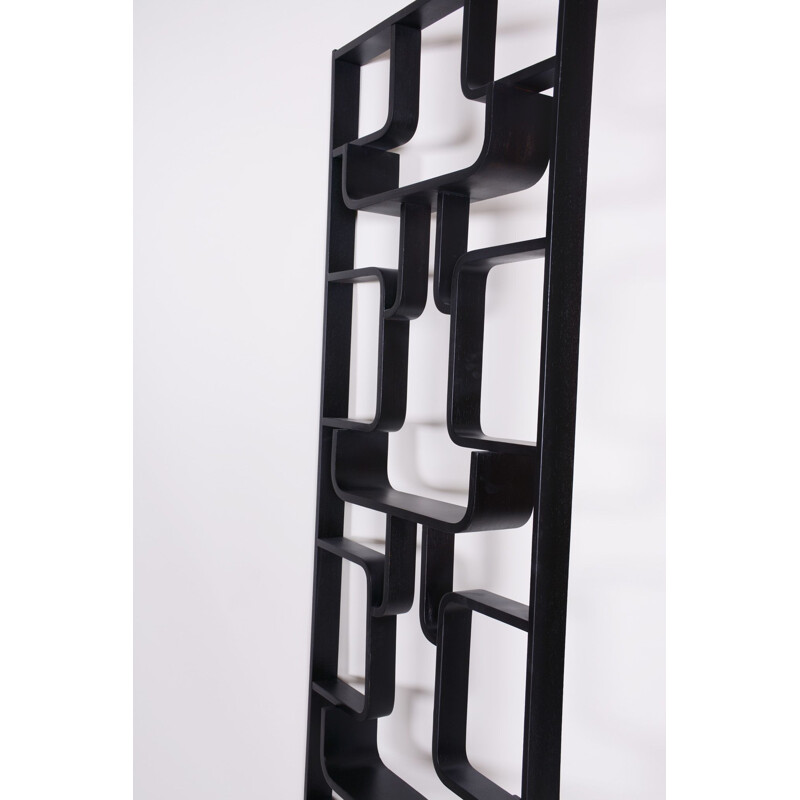 Mid century room divider by Ludvik Volak for Drevopodnik Holesov, 1960s