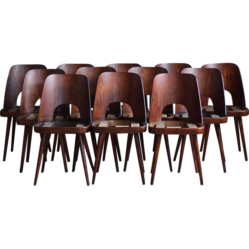 Ensemble de 12 chaises vintage par Oswald Haerdtl, 1950