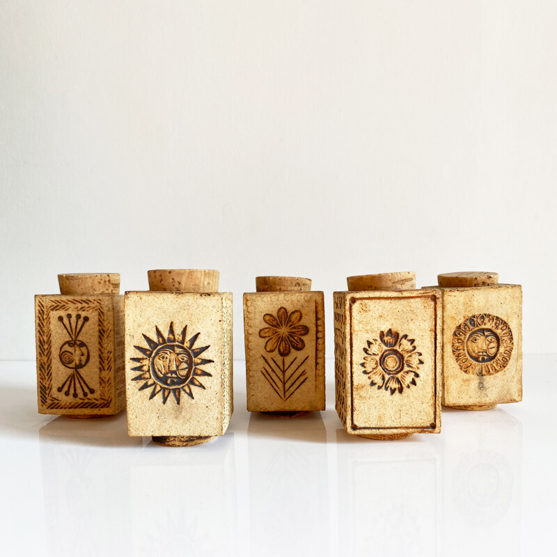 Set of 5 vintage spice jars by Roger Capron, France 1970